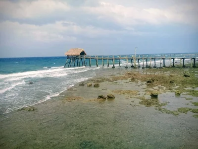 Polillo - Photo 5