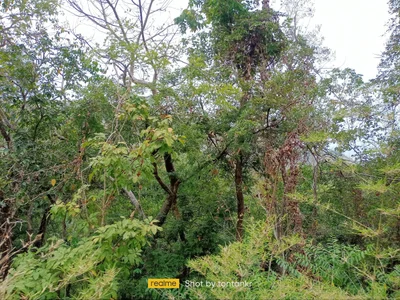 Sai Yok District - Photo 5
