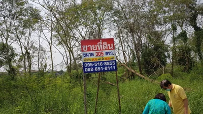 Khlong Ha Subdistrict - Photo 2
