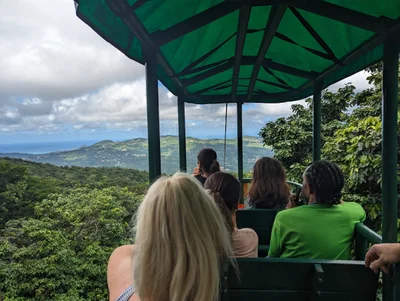St. Lucia Rain Forest - Photo 2