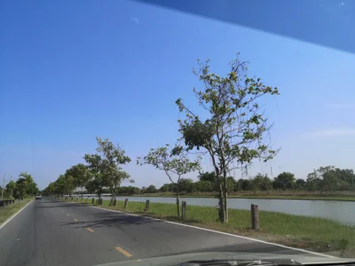 Sao Thong Hin Town Municipality - Photo 2