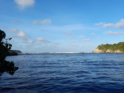 Mon Repos - Photo 5