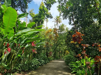 Botanical Gardens - Photo 4