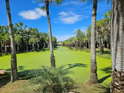 Suanpalm Farmnok Resort - Photo 4