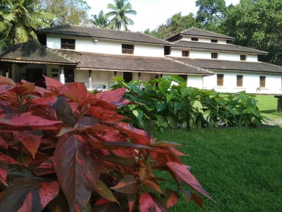 Kuppalli - Photo 4