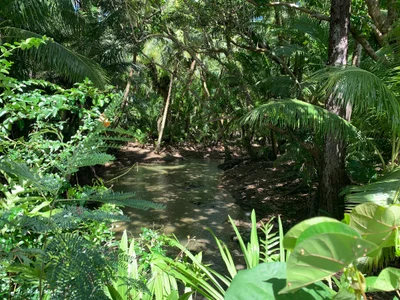 Spanish bridge - Photo 4