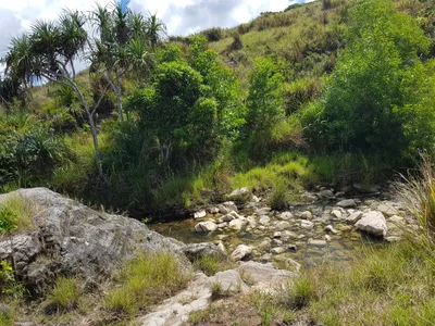 Yona Municipality - Photo 2