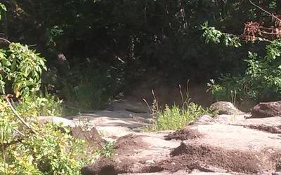 Mapleton - Photo 3