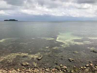 Rocky Point - Photo 2