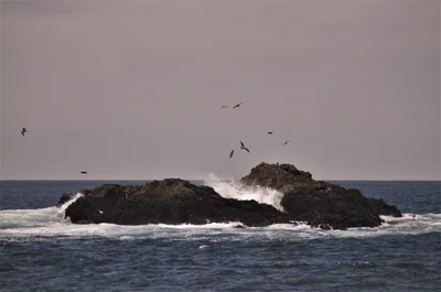Pescadero - Photo 2