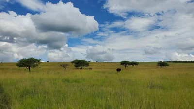 Mkhambathini Local Municipality - Photo 4