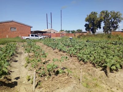 Mkhambathini Local Municipality - Photo 5