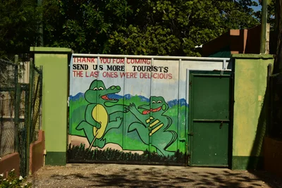 Swaby's Swamp Safari - Photo 2