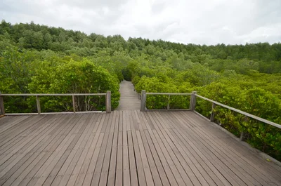 Pak Nam Prasae - Photo 5