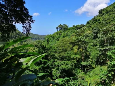 Grenadines - Photo 5