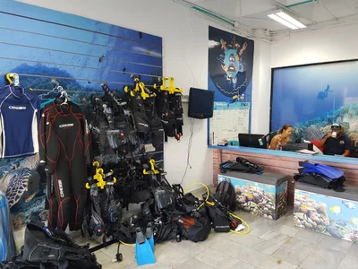 Blue Life Dive - Photo 2