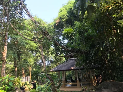 Phlapphla Narai - Photo 3
