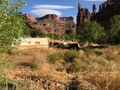 Supai - Photo 5