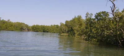 Cap Skirring - Photo 3