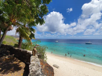 Playa Kalki - Photo 2