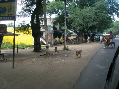 Alampoondi - Photo 2