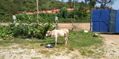 Kaggalipura - Photo 3