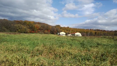 Shimizu - Photo 2