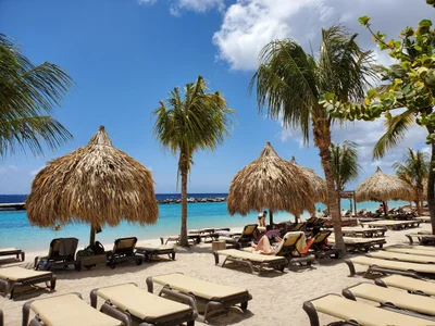 Mambo Beach - Photo 3