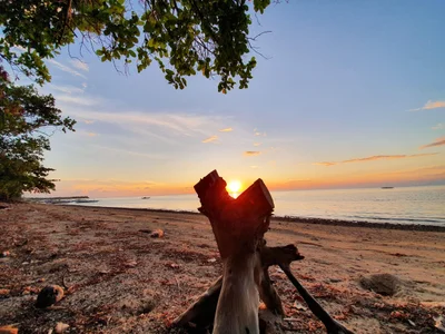 Balud - Photo 2