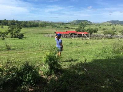 Balud - Photo 5