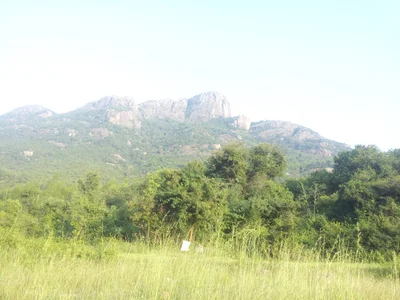 Pappireddipatti - Photo 2