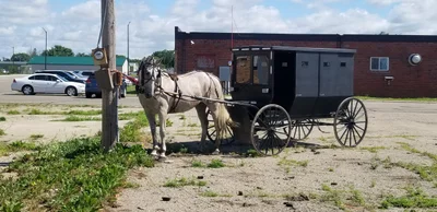 Wadena - Photo 5