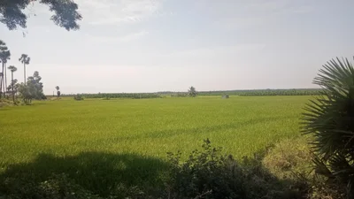 Vaniputhur - Photo 2