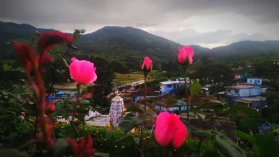 T R Bazaar - Photo 4