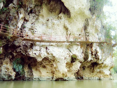 Basey - Photo 3