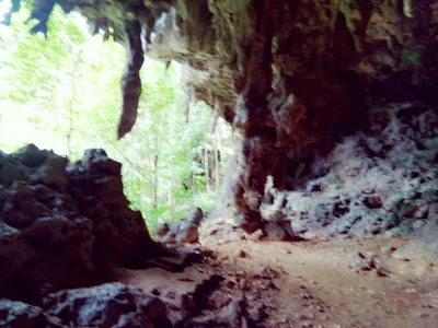Basey - Photo 4