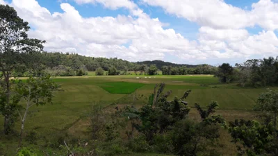 Dumalag - Photo 5