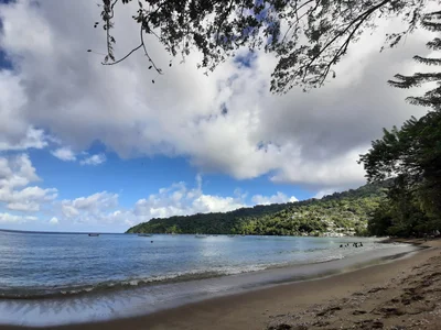 Charlotteville - Photo 5