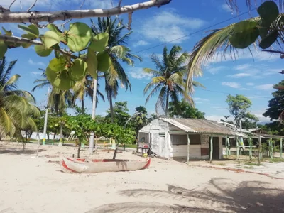 Dibulla - Photo 2