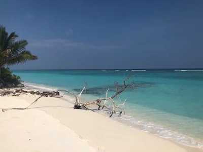Kadmat - Photo 3