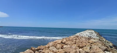 Salgar - Photo 5