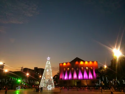 Plaza de la Paz - Photo 4