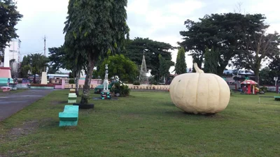 Dulag - Photo 3