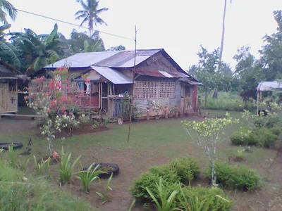 Dulag - Photo 5