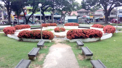 Buenavista - Photo 3