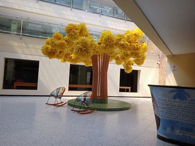 Rafael Carrillo Luquez - Photo 2