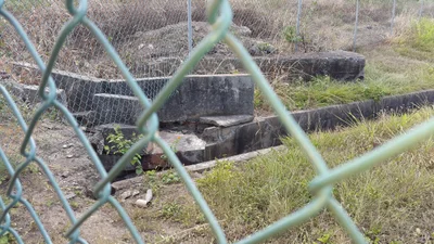 La Brea - Photo 2
