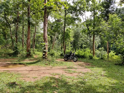 Makarachal - Photo 3