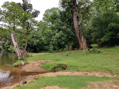 Makarachal - Photo 5