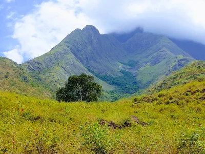 Kurangani - Photo 2